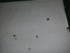 20170806_084215.jpg