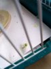 20170808_192347.jpg