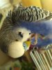 IMG_20170809_121717.jpg