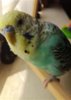 ^E01266674F6F38F8D19420C0628C5AC3094B4FE8A7CFE08E1D^pimgpsh_thumbnail_win_distr.jpg