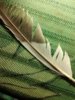 IMG-20170812-WA0001.jpg