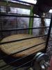 P70820-124014.jpg