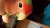 IMG-20170823-WA0000.jpg