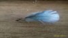 IMG-20170824-WA0003.jpg