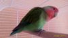 IMG-20170824-WA0006.jpg