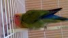 IMG-20170824-WA0010.jpg