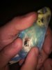 IMG_20170826_234913.jpg