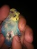 IMG_20170826_234940.jpg