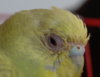 photofacefun_com_1503969842.jpg