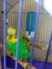 IMG_20170908_131553.jpg