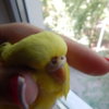 DSCN6236.JPG
