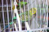 DSC07800.JPG