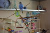 DSC01582.JPG