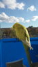 20151026150042.jpg