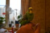 DSC_0932.JPG
