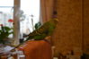 DSC_0940.JPG
