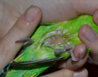 DSC_0945_1.jpg