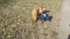 20150221_133013.jpg