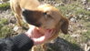 20150221_132638.jpg