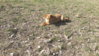 20150221_132809.jpg
