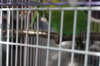DSC07828.JPG