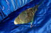 DSC07839.JPG