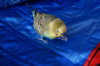 DSC07840.JPG