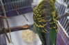 DSC07847.JPG