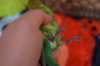 DSC07848.JPG