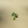 DSCN6326.JPG