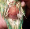 2017-09-17_203411.jpg