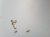 20170919_093748.jpg