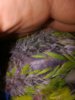 IMG_20170920_090058.jpg