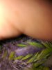 IMG_20170920_090104.jpg