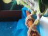 IMG_20170920_101403.jpg