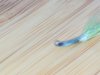 IMG_20170920_102346.jpg