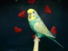 20170930_145704.jpg