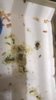 WP_20171002_19_52_53_Pro.jpg