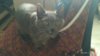 IMG-20170725-WA0003.jpg