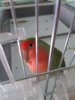 20171005_134721.jpg