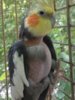 IMG_20171009_140330.jpg