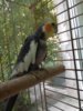 IMG_20171009_140211.jpg