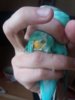 20171101_101412.jpg