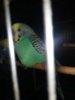 20171101_091643.jpg
