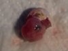 20171103_165338.jpg