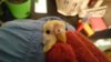 IMG-20171110-WA0000.jpg