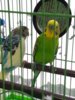 IMG_20171118_145440.jpg
