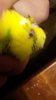 20171210_093940.jpg