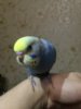 image.jpeg