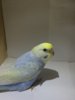 image.jpeg